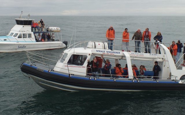 Gansbaai Birkenhead Troepeskip se 163ste 5